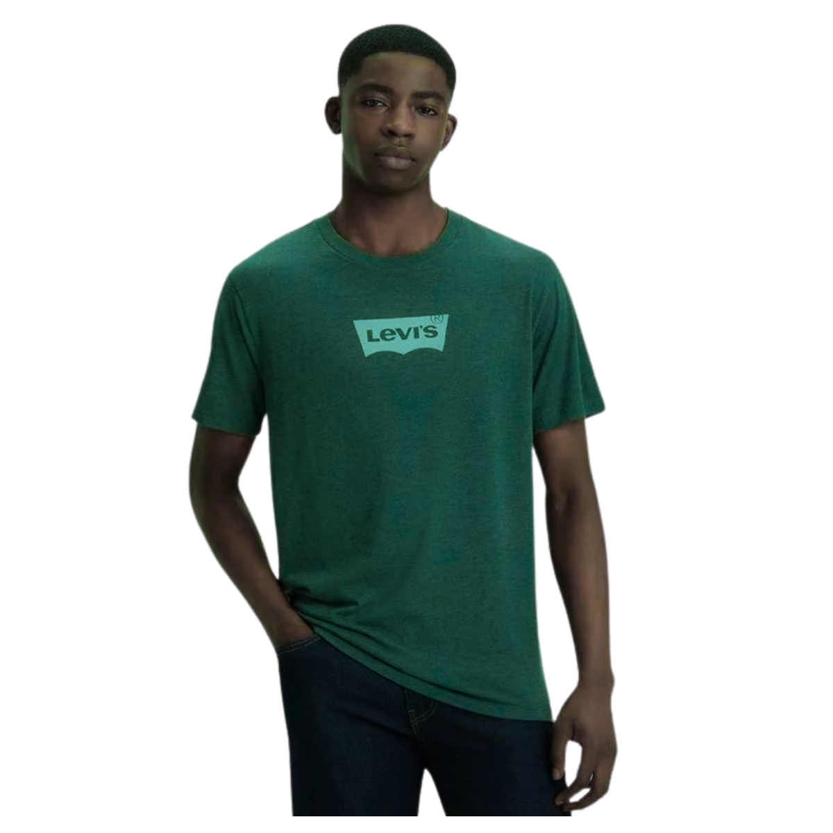 Camiseta Masculina Levi's Verde Manga Curta Com Logo Verde Claro REF: LB001-0513