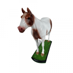 Miniatura de Cavalo Paint Horse