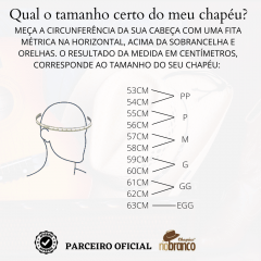 Chapéu Unissex Rio Branco Pança de Burro Pino REF 70302