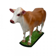 Miniatura de Vaca Simental