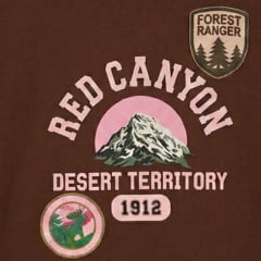Camiseta Feminina Turkese T-Shirt Manga Curta Marrom Estampada Canyon Patches Em Rosa - Ref:TS04602